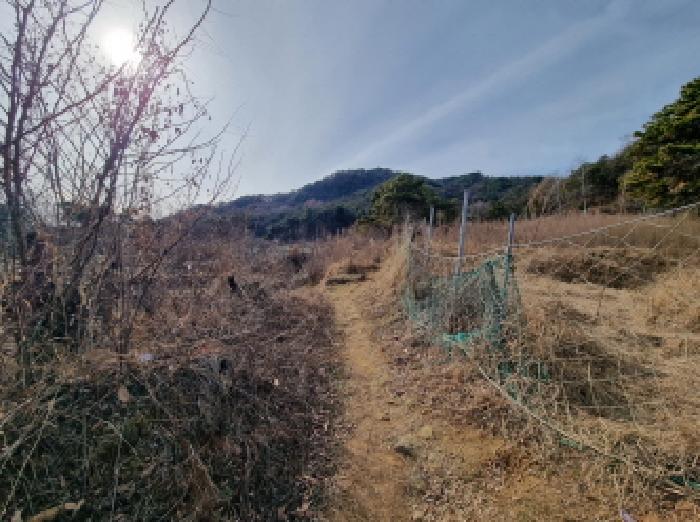 대전 중구 석교동 임야 경매 물건 사진