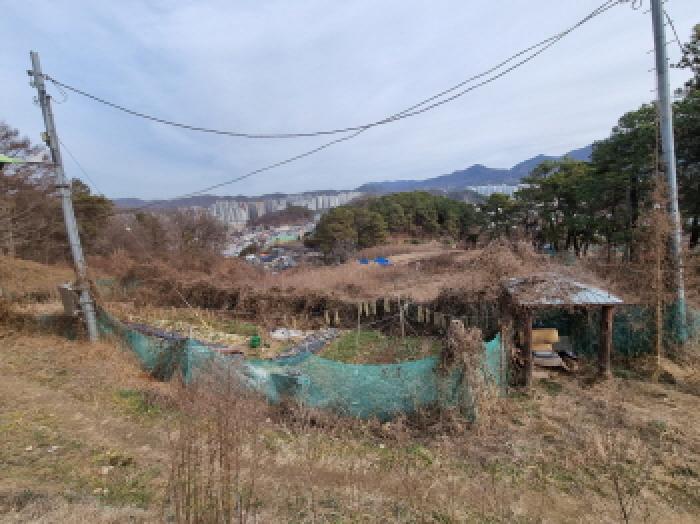 대전 중구 석교동 임야 경매 물건 사진 2 · 2025타경4035