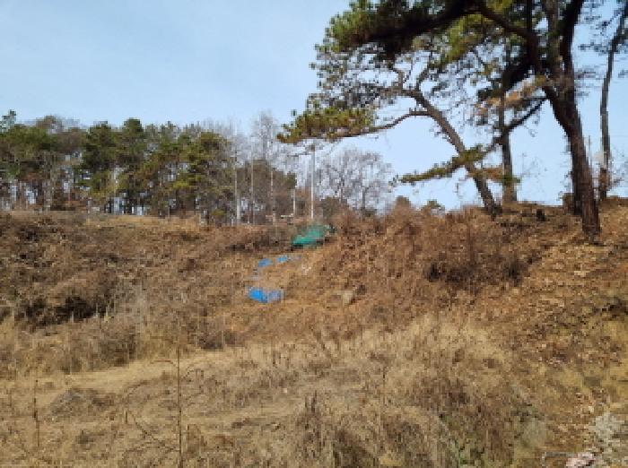 대전 중구 석교동 임야 경매 물건 사진 6 · 2025타경4035
