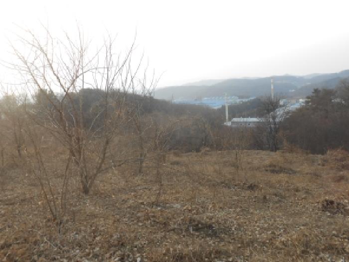 세종 전의면 대지,임야,전답 경매 물건 사진