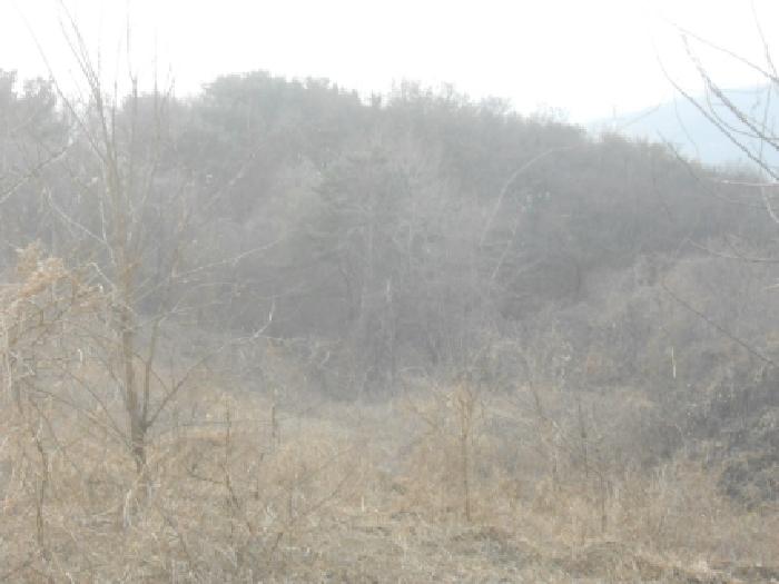 세종 전의면 대지,임야,전답 경매 물건 사진 2 · 2025타경4068