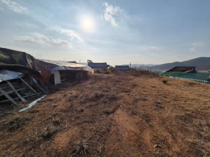세종 장군면 도로 경매 물건 사진 3 · 2025타경4069