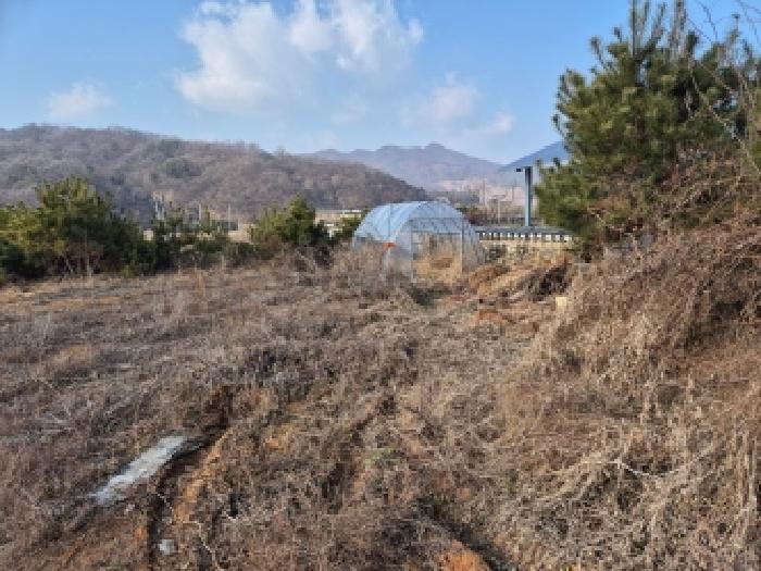 세종 장군면 도로 경매 물건 사진 6 · 2025타경4069
