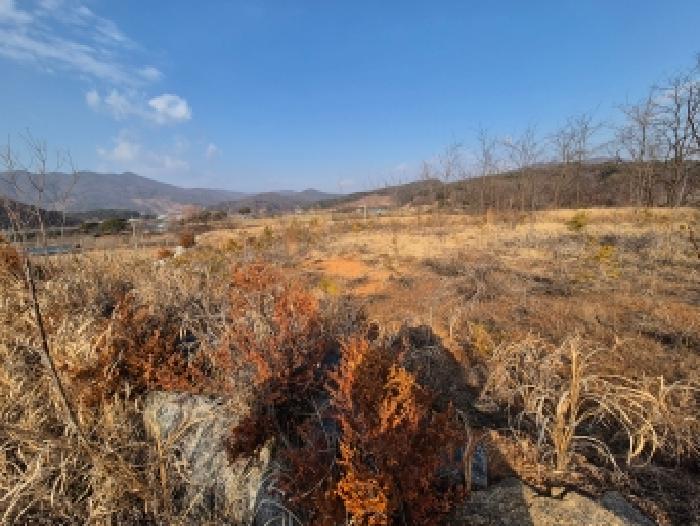 세종 장군면 임야 경매 물건 사진 2 · 2025타경4071