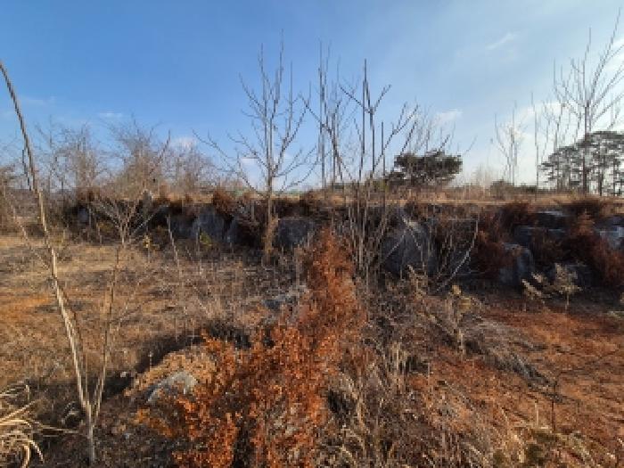 세종 장군면 임야 경매 물건 사진 3 · 2025타경4071