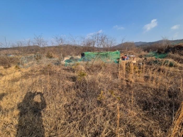 세종 장군면 임야 경매 물건 사진 4 · 2025타경4071