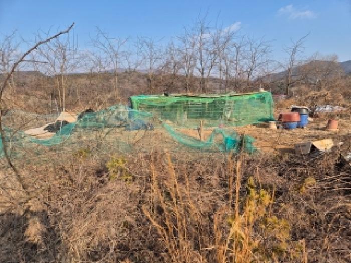 세종 장군면 임야 경매 물건 사진 5 · 2025타경4071