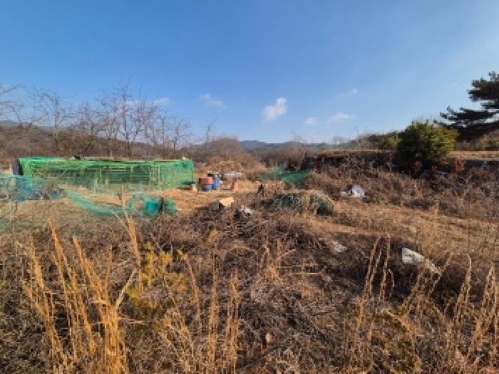 세종 장군면 임야 경매 물건 사진 6 · 2025타경4071