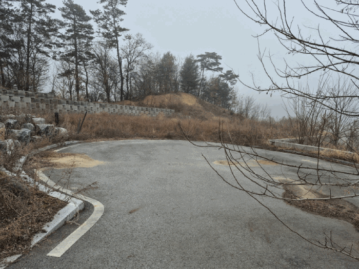 세종 연서면 임야 경매 물건 사진 5 · 2025타경4081