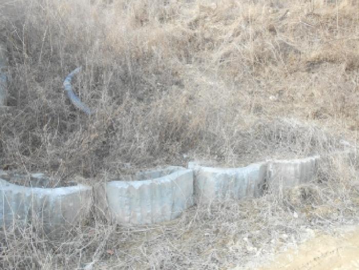 세종 연기면 도로 경매 물건 사진