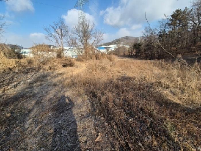 세종 연서면 임야 경매 물건 사진 5 · 2025타경4088