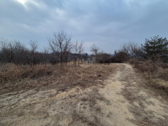 세종 연동면 전 경매 물건 사진