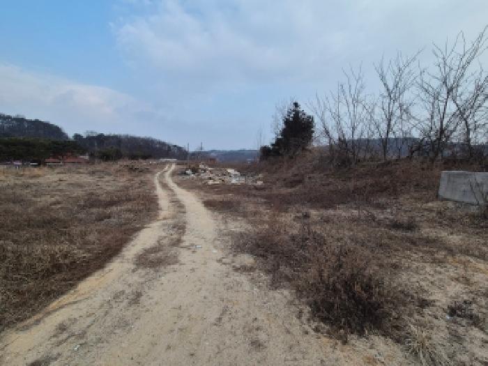 세종 연동면 전 경매 물건 사진 2 · 2025타경4089