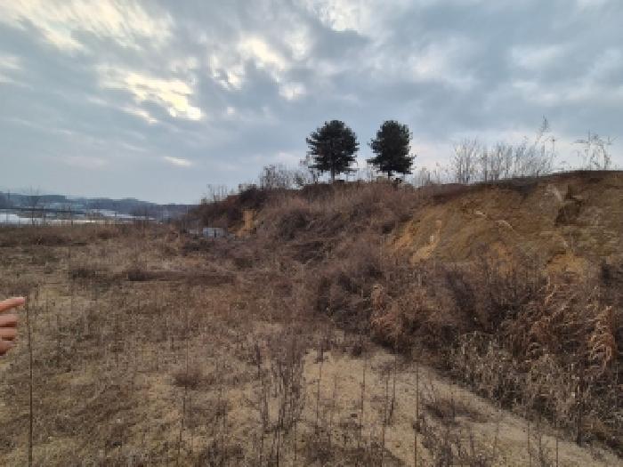 세종 연동면 전 경매 물건 사진 3 · 2025타경4089