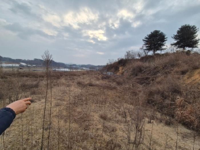세종 연동면 전 경매 물건 사진 4 · 2025타경4089
