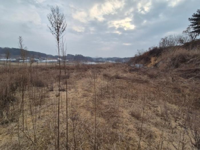 세종 연동면 전 경매 물건 사진 5 · 2025타경4089