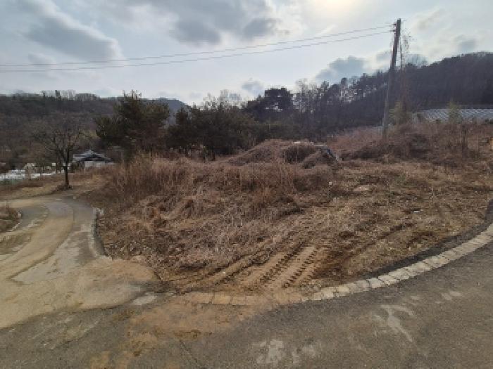 세종 금남면 대지,임야,전답 경매 물건 사진 5 · 2025타경4092
