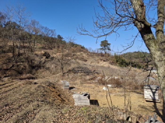 대전 서구 오동 대지 경매 물건 사진 6 · 2025타경500940