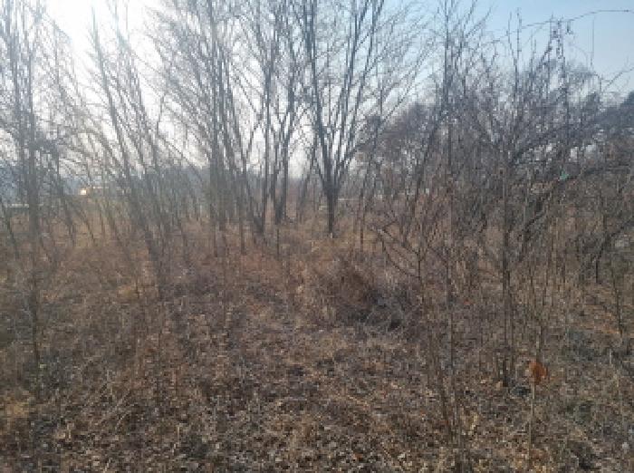 세종 연동면 임야 경매 물건 사진 3 · 2025타경501726