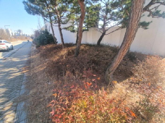 세종 고운동 공원 경매 물건 사진