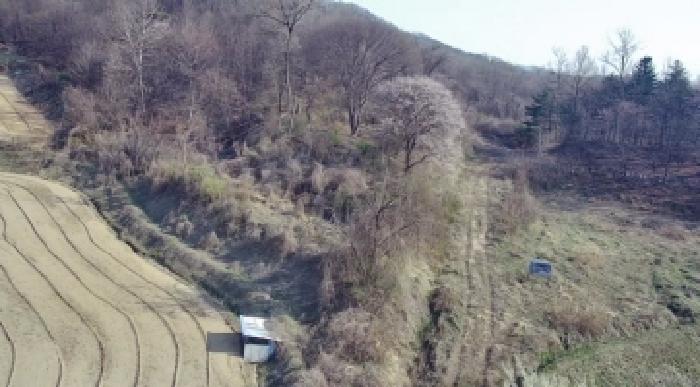 세종 부강면 전 경매 물건 사진 5 · 2025타경502006