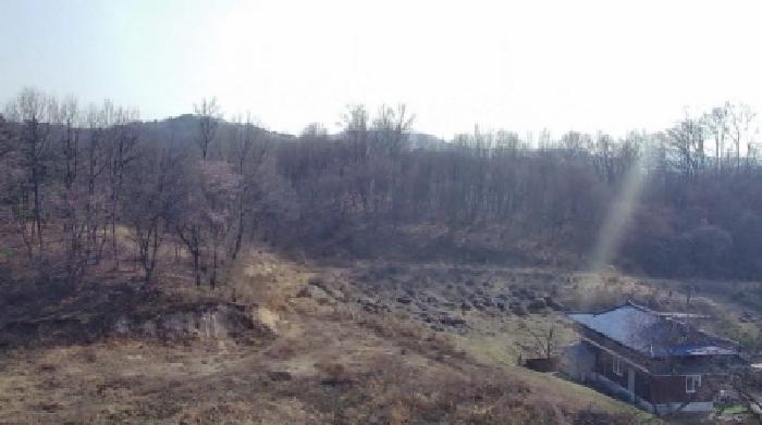 세종 부강면 전 경매 물건 사진 6 · 2025타경502006