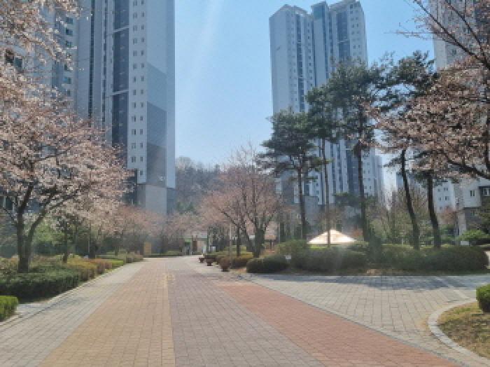 세종 아름동 아파트 경매 물건 사진 2 · 2025타경502069
