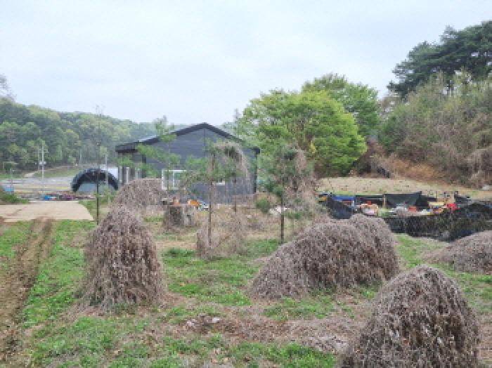 세종 장군면 근린생활시설 경매 물건 사진 2 · 2025타경502158