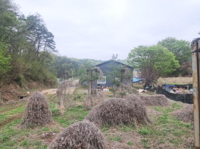 세종 장군면 근린생활시설 경매 물건 사진 5 · 2025타경502158