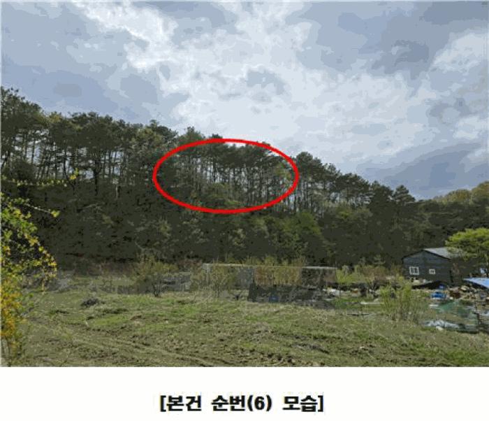 세종 장군면 근린생활시설 경매 물건 사진 4 · 2025타경502158