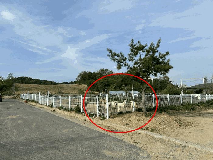 세종 장군면 전 경매 물건 사진