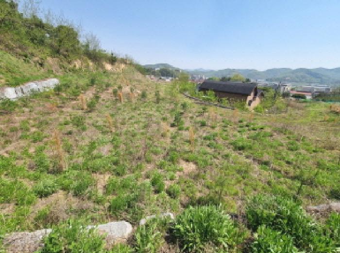 세종 장군면 임야 경매 물건 사진 2 · 2025타경502281