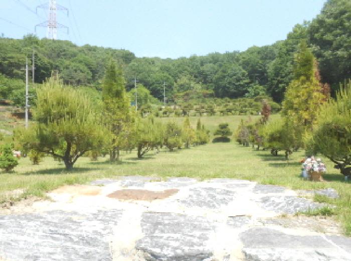 세종 전의면 묘지관련시설 경매 물건 사진 5 · 2025타경502349