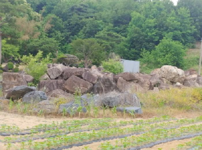 충남 금산군 군북면 답 경매 물건 사진 6 · 2025타경502551