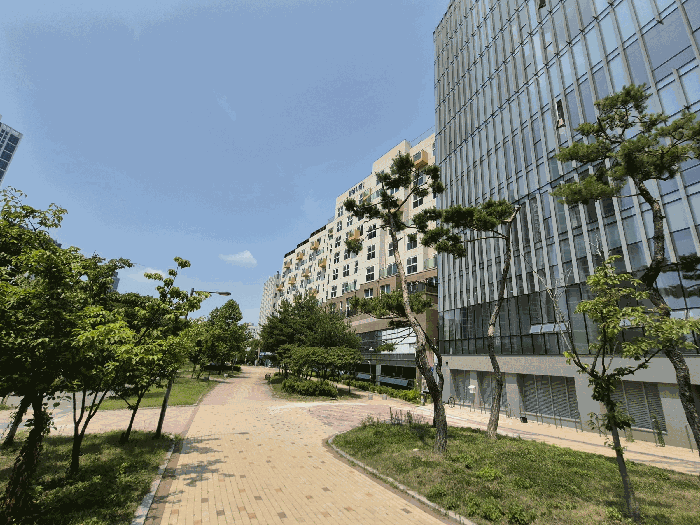 세종 어진동 아파트 경매 물건 사진 5 · 2025타경502706