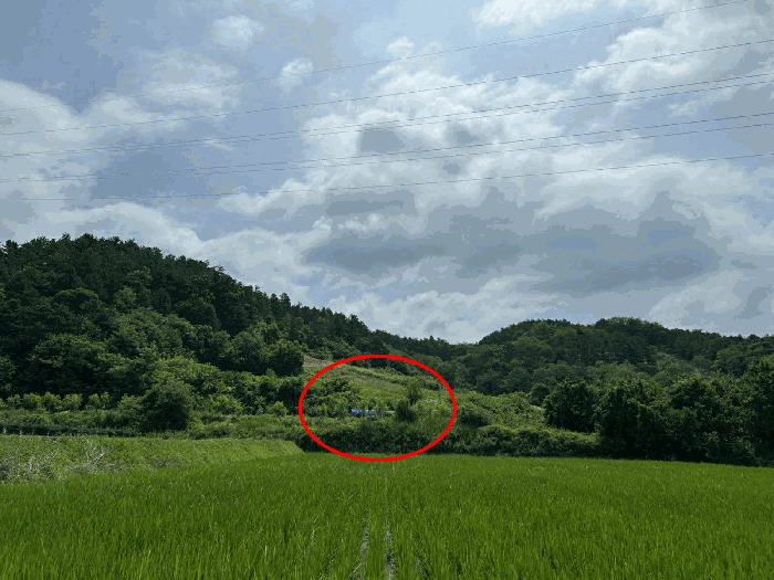 충청남도 금산군 제원면 수당리 640-1 대지,임야,전답 경매 물건 사진