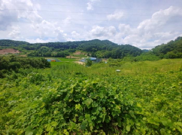 충남 금산군 제원면 대지,임야,전답 경매 물건 사진 2 · 2025타경502770