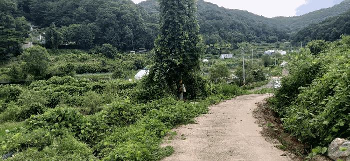 세종 전의면 답 경매 물건 사진
