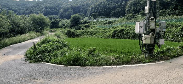 세종 전의면 답 경매 물건 사진 4 · 2025타경502886