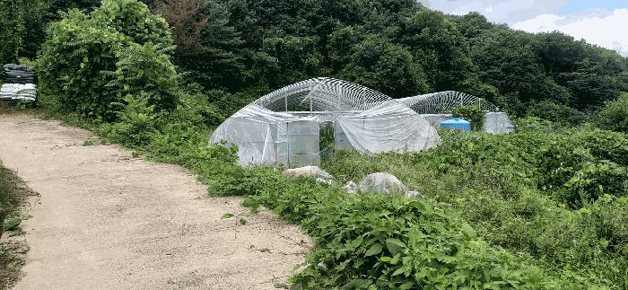세종 전의면 답 경매 물건 사진 6 · 2025타경502886