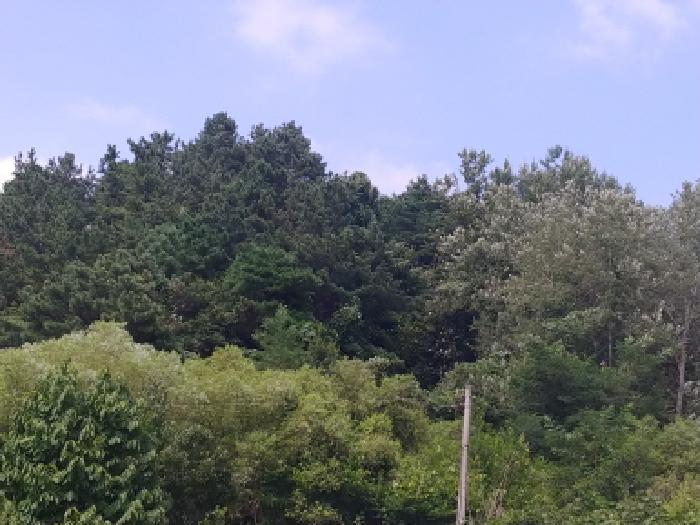 충남 금산군 남이면 답 경매 물건 사진 5 · 2025타경502953