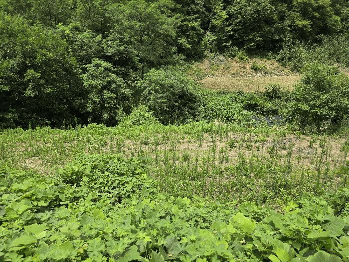 충남 금산군 남이면 답 경매 물건 사진 3 · 2025타경502953