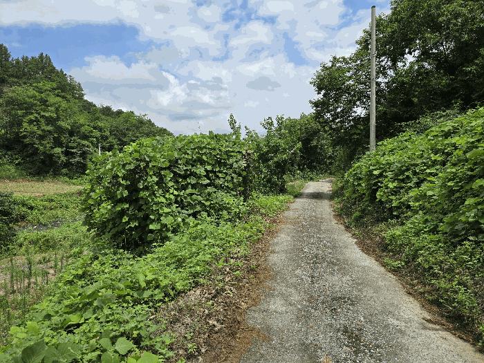 충남 금산군 남이면 답 경매 물건 사진 6 · 2025타경502953
