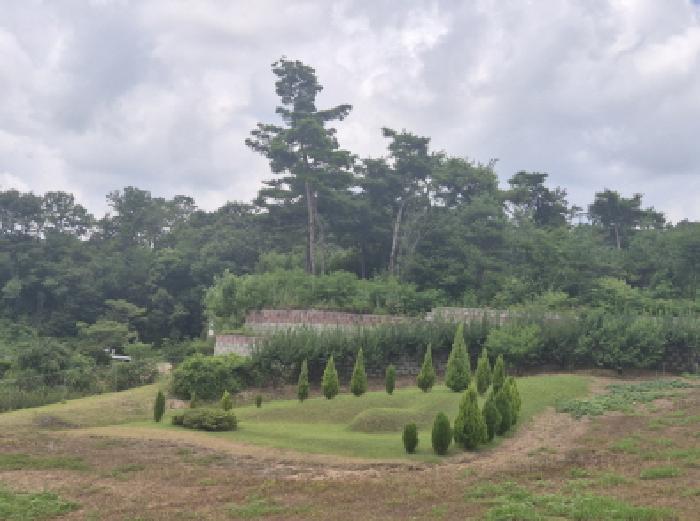 세종 장군면 임야 경매 물건 사진 3 · 2025타경502961