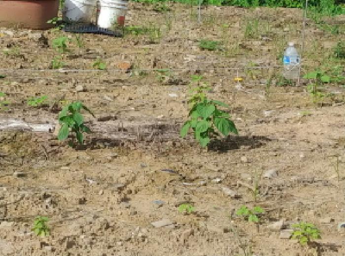 충남 금산군 복수면 기숙사 경매 물건 사진 4 · 2025타경503085