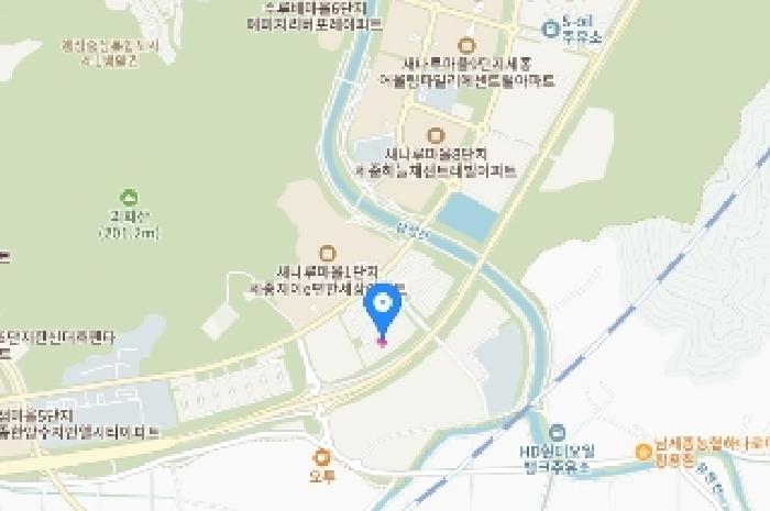 세종 집현동 대지 경매 물건 사진 6 · 2025타경503120