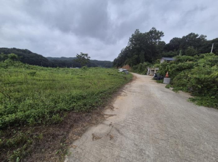 세종 장군면 도로 경매 물건 사진
