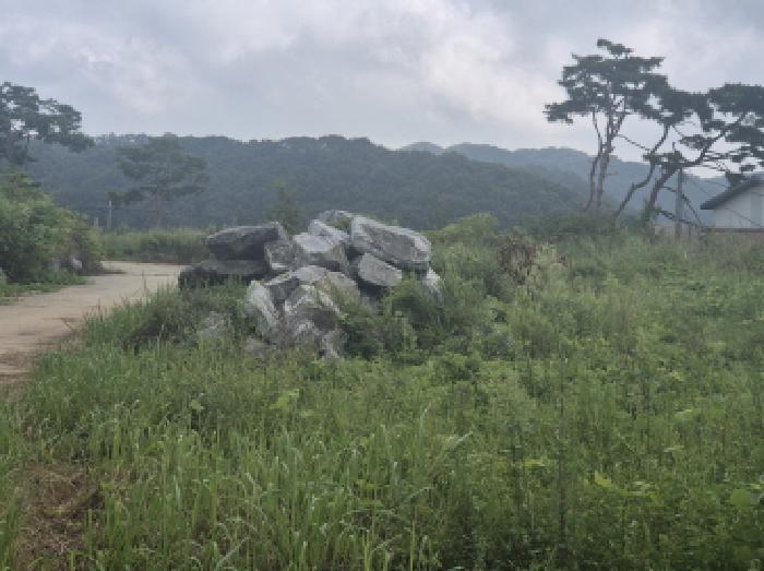 세종 장군면 도로 경매 물건 사진 6 · 2025타경503127