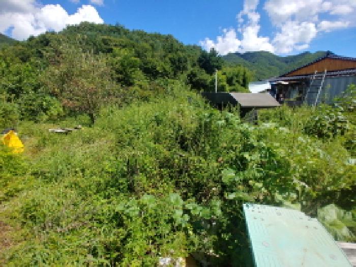 충남 금산군 군북면 전 경매 물건 사진 6 · 2025타경503146