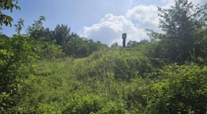 충남 금산군 금성면 전 경매 물건 사진